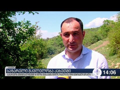 ქრონიკა 14:00 საათზე - 3 მაისი, 2019 წელი