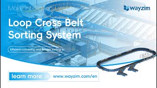 Enhancing Airport Efficiency: Loop Cross Belt Baggage Sorting System