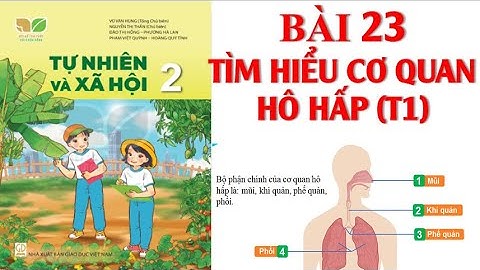 TỰ NHIÊN XÃ HỘI LỚP 2.BÀI 23:TÌM HIỂU CƠ QUAN HÔ HẤP (T1).SÁCH KẾT NỐI TRI THỨC.