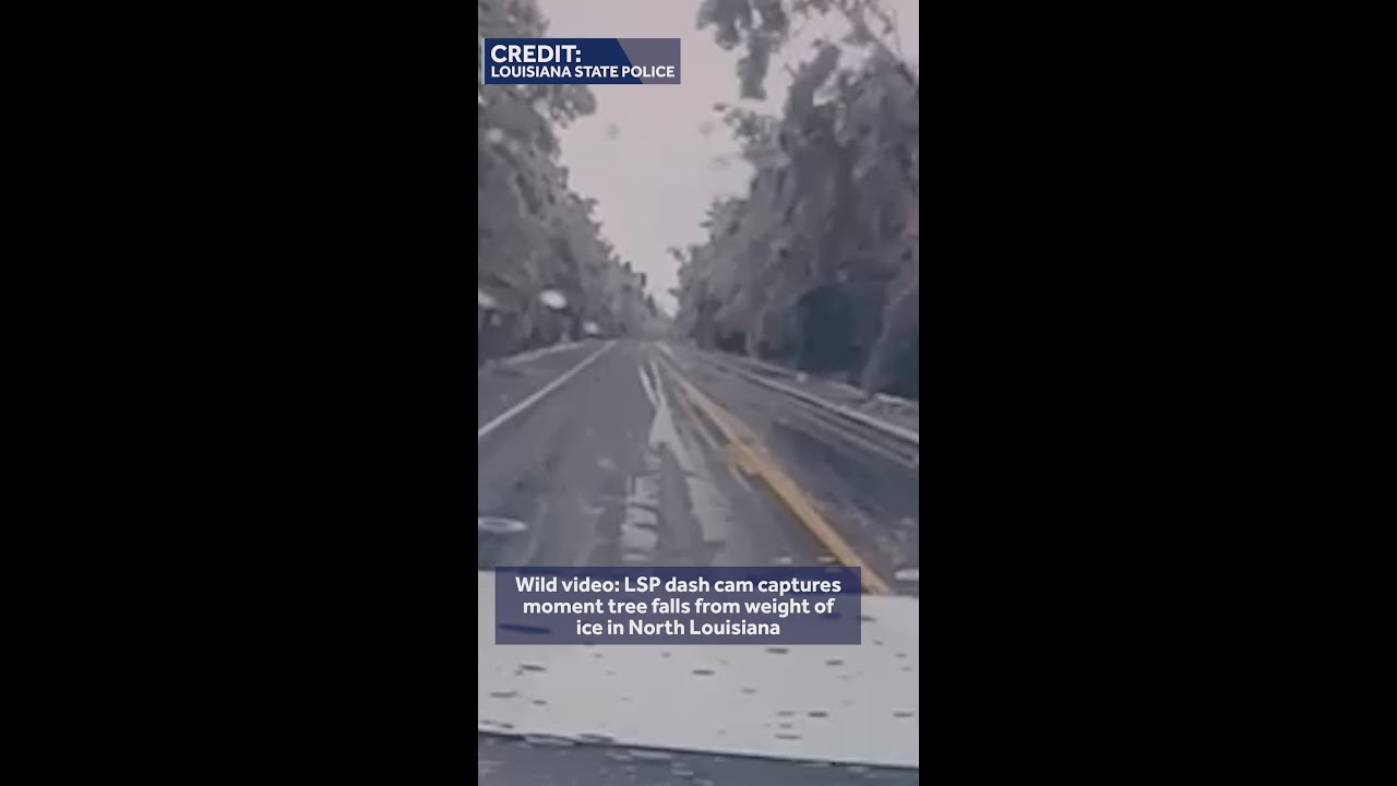 LSP dash cam captures moment tree falls from weight of ice in North Louisiana