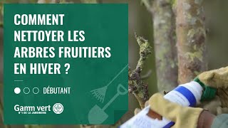 Comment soigner les plaies de taille ? - Gamm vert