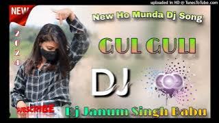 GUL GULI NEW HO DJ SONG // HARD BASS DJ SONG 2024 || DJ JANUM SINGH BABU