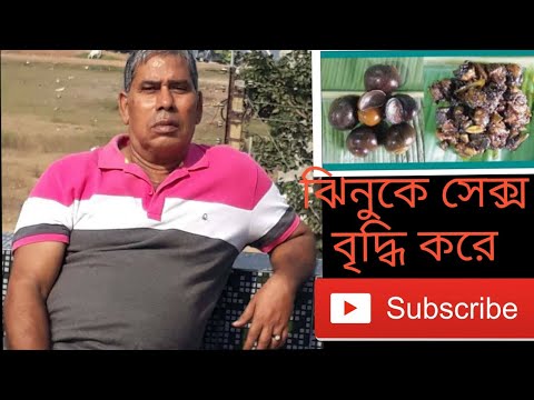 ভিডিও: বাদামের সাথে ঝিনুকের ক্ষুধা