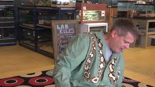 Celebrity Burmese Python Skin Wealth