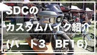 レスポール　''ワンピックアップ''モデル　Customize Capping the 1989 Kyosho Lazer ZX build with an Optima Mid