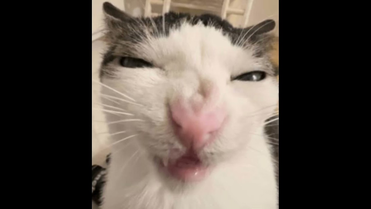 Ace up my sleeve Larry