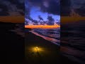 Peaceful Beach Vibes 🌊☀️ Relaxing Ocean View