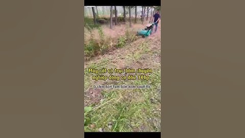 Máy Cắt Cỏ Trục Băm Chuyên Nghiệp Động Cơ Dầu 10hp
