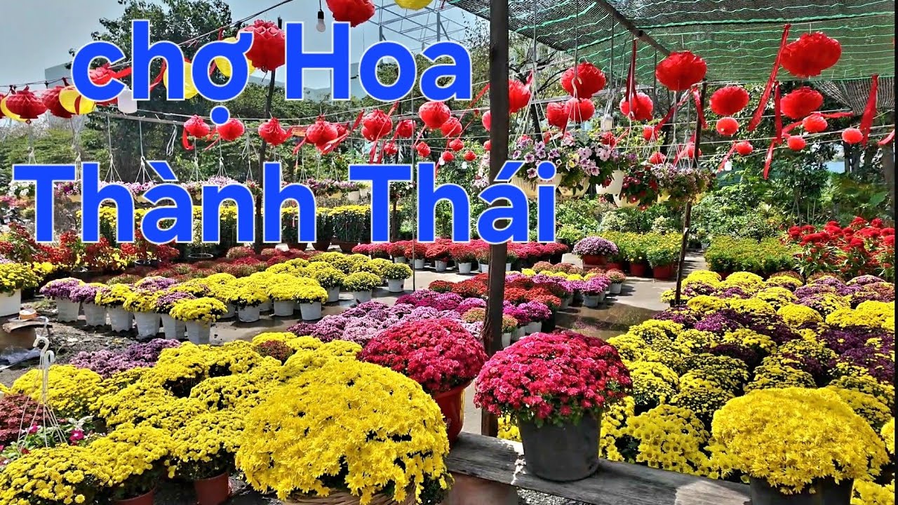 CHỢ HOA THÀNH THÁI TẾT BÍNH NGỌ