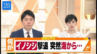 Ｎスタ５４５：イノシシに逆襲した男性が･･･