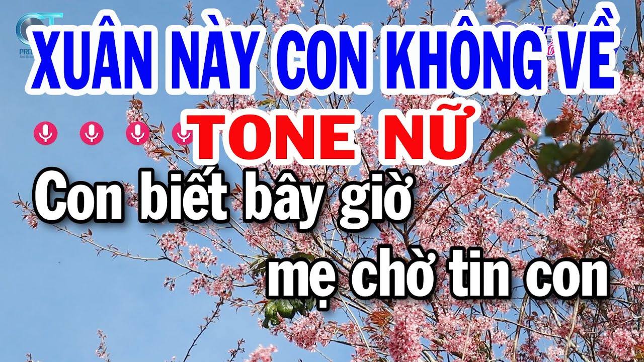Karaoke Xuân Này Con Không Về Tone Nữ | Nhạc Xuân Dễ Hát | Đồng Sen