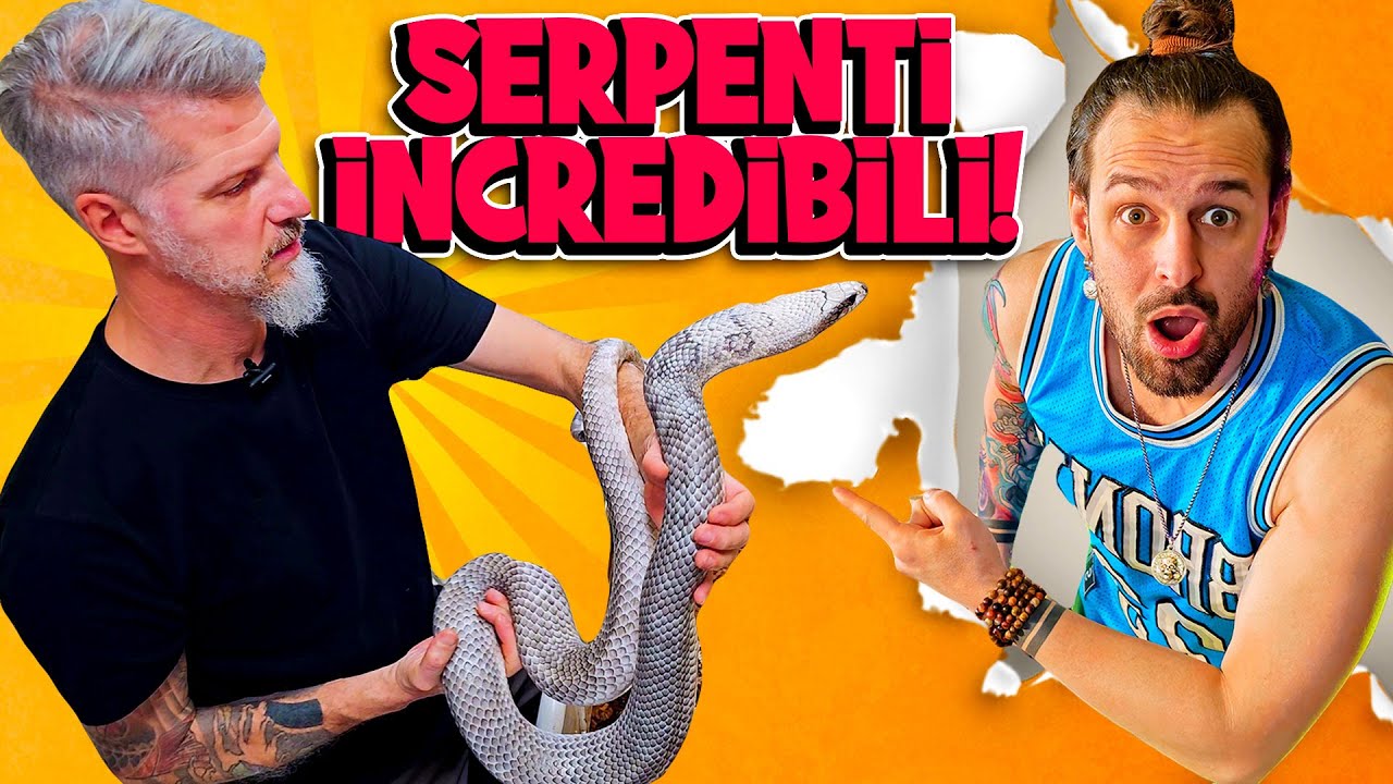 Serpenti UNICI AL MONDO - Sono Stato Da Enrico Marconato