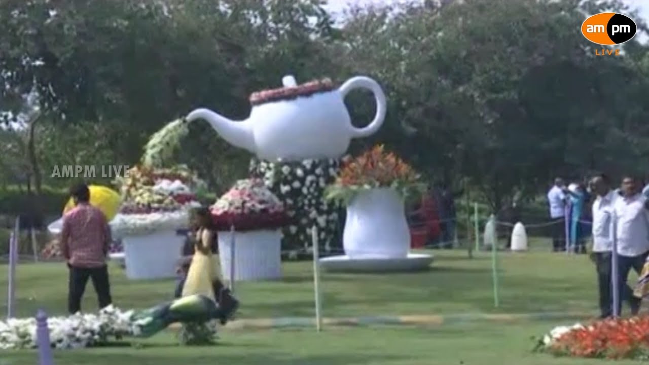 Flower Show 2018 in Central Park Visakhapatnam YouTube