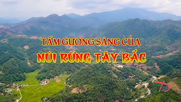 Những tấm gương tiêu biểu học tập và làm theo Tư tưởng, Đạo đức, Phong cách Hồ Chí Minh