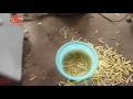 Potatoes cutting machinery