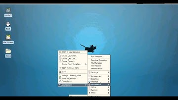 How To Instal And Run Hitleap Viewer On Ubuntu