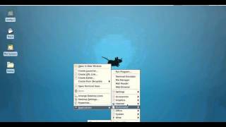 How To Instal And Run Hitleap Viewer On Ubuntu
