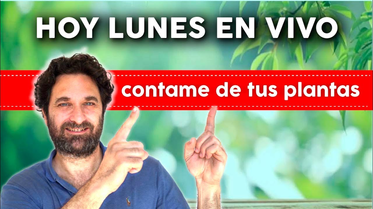 HOY LUNES 18-7-2022  EN VIVO!! RESPONDO TUS CONSULTAS - Horario en la descripci�n.