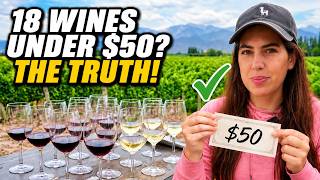 Can You Really Enjoy 18 Wines in Mendoza, Argentina for under $50?