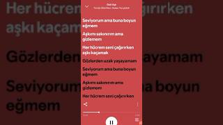 Feride Hilal Akın, Hakan Tunçbilek - Gizli Aşk Lyrics Şfet