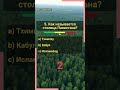 География. Назови столицу. Часть 13  #угадай #знания #страны #нашмир #столицы #индия #тайланд