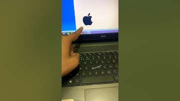 🍎 Apple Logo shortcut in ms word #shorts #msword #shortcutkeys #msoffice #computer