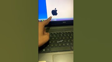 🍎 Apple Logo shortcut in ms word #shorts #msword #shortcutkeys #msoffice #computer