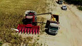 Matias Damásio - Semear, Mais Angola, Mais Produção Nacional