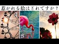 【タロット🥀】運命を変える出来事!!もうすぐ訪れる!