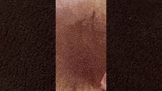 'Hill' Series - Scrubbing
