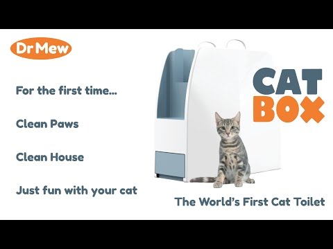 introducing-catbox