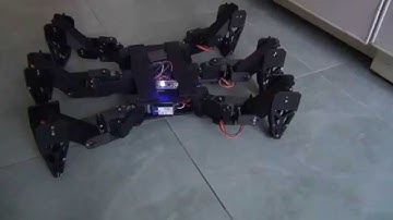 Hexapod Robot
