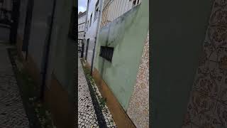 Meanwhile, Walking To Braga Parque....