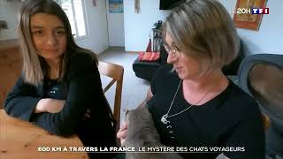 Intrnet Biologique ... L 'Histoire de Cookie .. Jedi knight