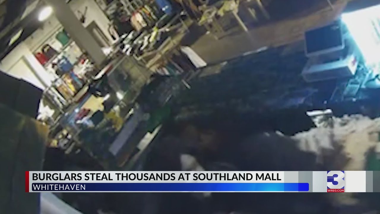 Clothing store targeted in Southland Mall smash and grab - YouTube