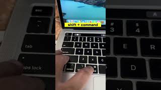 Did you undo by mistake on Mac? How to redo on Mac #macbooktutorial #macbookpro