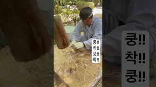 문경새재 떡만들기 체험