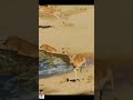 "River Danger 😱 Deer Near Crocodile… What Happens Next? 🐊🦌🔥" #shortsviral #usashorts