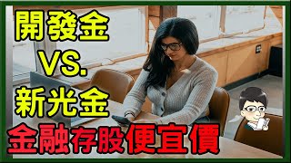 【金融股分析】開發金、新光金要挑哪一檔便宜價、合理價、昂貴價分別是多少哪一檔是績優股，報酬最高│開發金、新光金哪一檔最適合存股 穩定配息10年以上│殖利率為定存的5倍以上