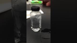 Bacterial Ice Nucleation F2016#2