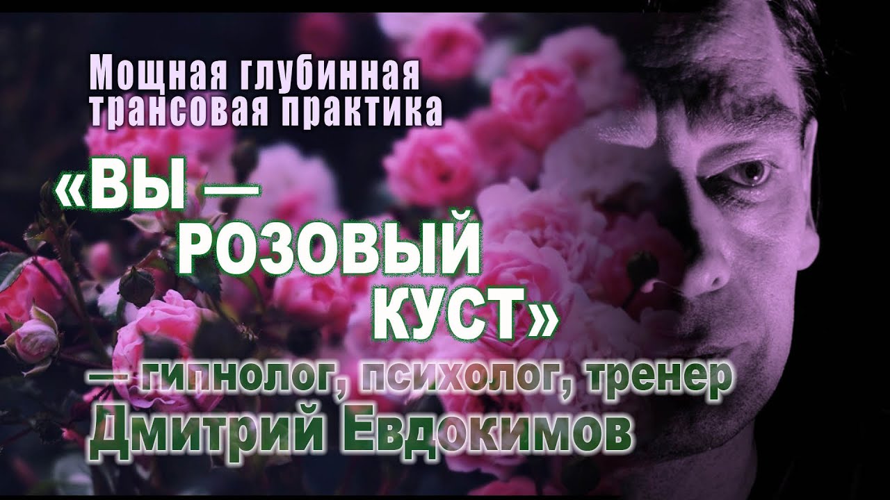 »ВЫ — Розовый Куст« МОЩНАЯ ТРАНСОВАЯ ПРАКТИКА: психолог, гипнолог ...