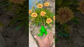 Catch Big Frogs Funny Try Dont Laugh Wepwep Catching Frogs Make You Laugh