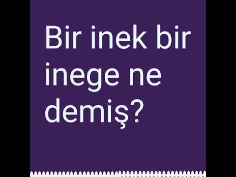 pavyon dizisi izle
