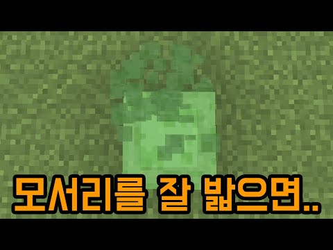 고성능 슬라임 <strong>점프</strong>(<strong>마인크래프트</strong>)