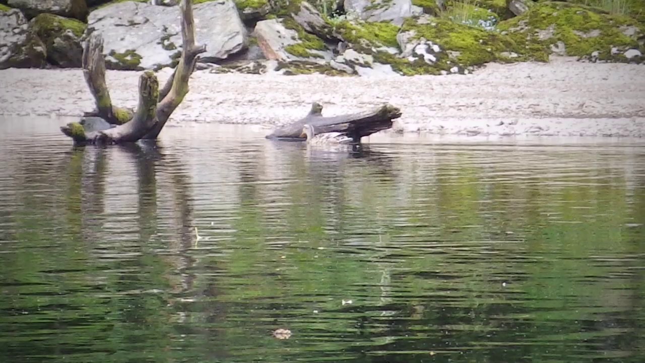 Kayaking loch Earn. - YouTube