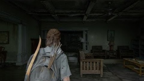 The Last of Us 2 - This Flying Bugs and Hair Texture of Ellie