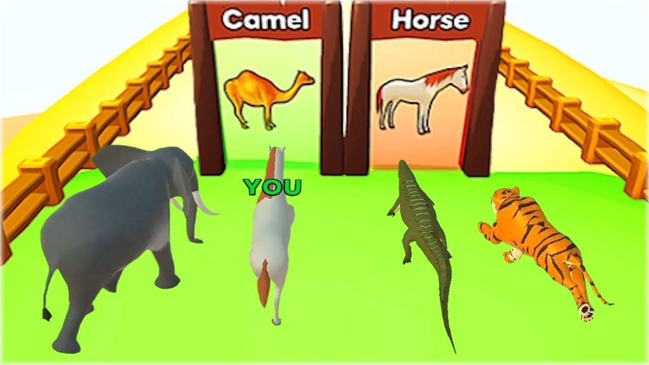 Animal Transform Race - Animals Run Gameplay Part 1
