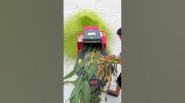 Máy Băm Cỏ Công Nghiệp G400 | Băm hàng tấn cỏ mỗi giờ đủ đáp ứng cho trang trại lớn