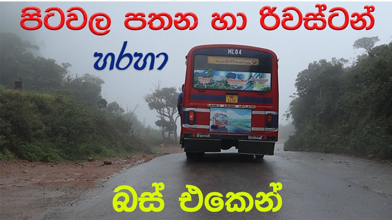 රිවර්ස්ටන් හරහා බස් එකෙන් හෙට්ටිපොළට | most beautiful bus road via Riverstone