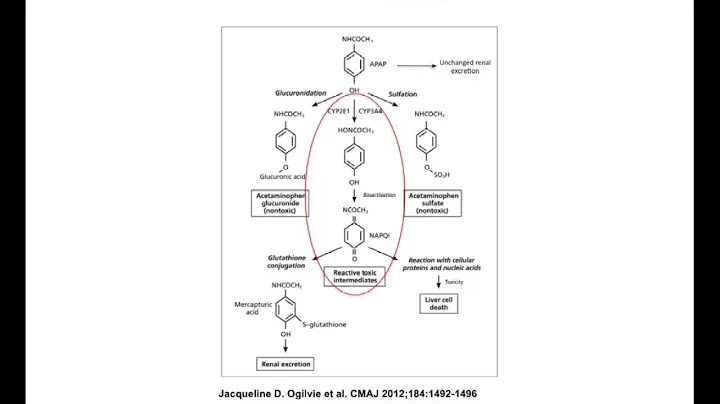 Vid3 2Acetaminophen